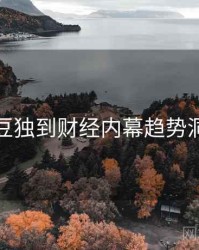 麻豆独到财经内幕趋势洞察