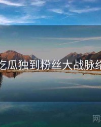 每日吃瓜独到粉丝大战脉络揭秘