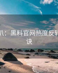 独家深扒：黑料官网热度反转爆火秘诀