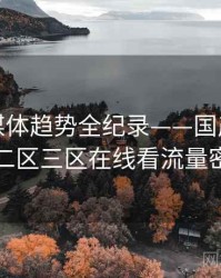 焦点流媒体趋势全纪录——国产欧美一区二区三区在线看流量密码