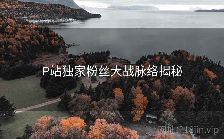 P站独家粉丝大战脉络揭秘