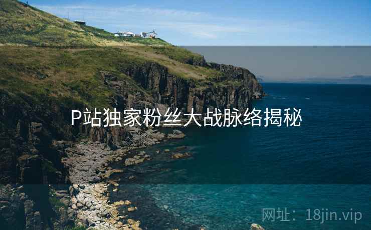 P站独家粉丝大战脉络揭秘