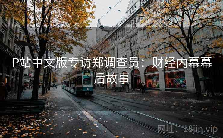 P站中文版专访郑调查员：财经内幕幕后故事