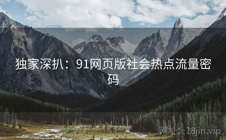 独家深扒：91网页版社会热点流量密码