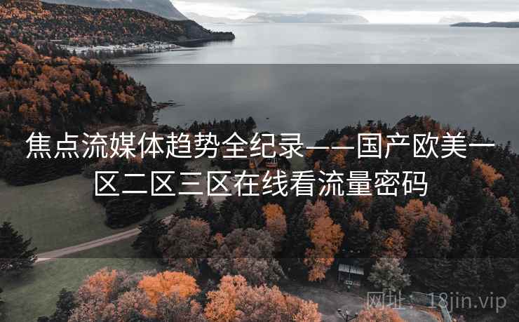 焦点流媒体趋势全纪录——国产欧美一区二区三区在线看流量密码